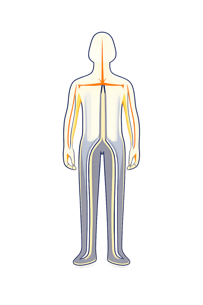 Somatische Therapie - Somatic Experiencing